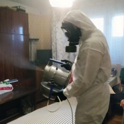 Дезинфекция от клопов в Сертолово